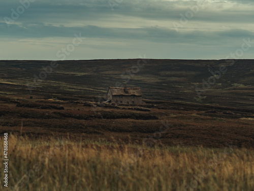 Old house in the field