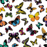 Seamless pattern of varios decorative drawn colorful flying butterflies