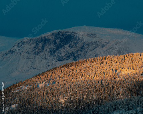 First sunlight hitting trees with big mountains in the background