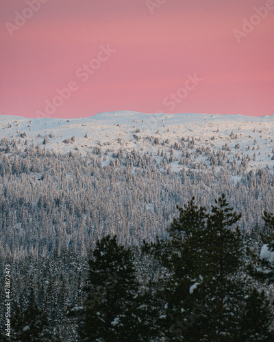 Pink sunrise with snow covered landscape