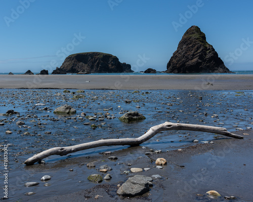 Oregon coast photo