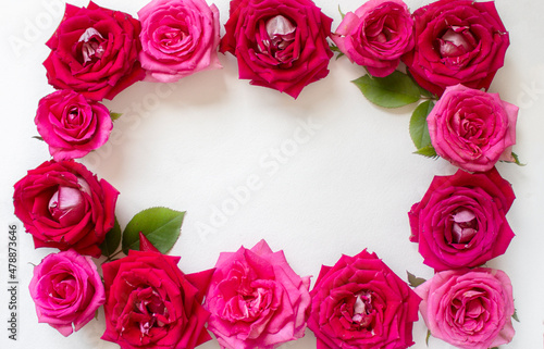 Beautiful rose flower in garden. Rose flower background. Roses flower texture. Lovely rose. Roses in tropical garden. Colorful roses flower. Frame. copy space