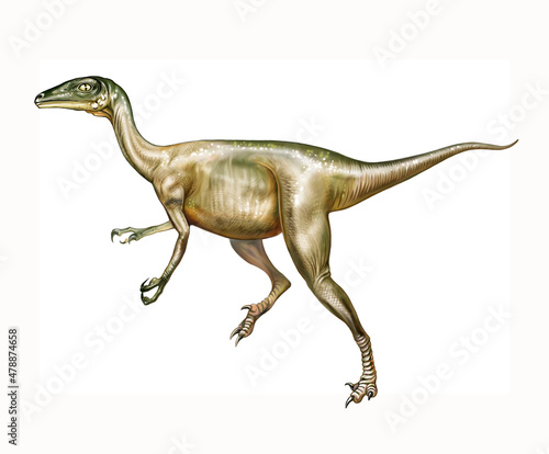 Troodon, Cretaceous Mesozoic dinosaur © Liliya