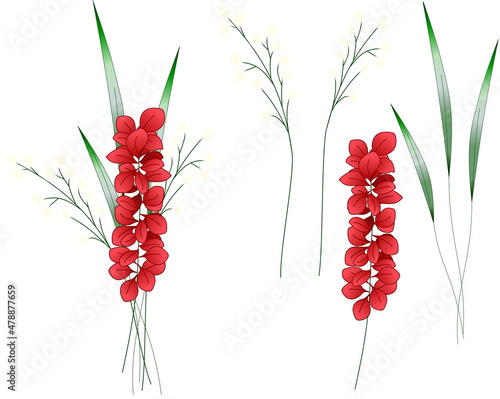 Obraz na plátně bouquet sedge branch with red leaves