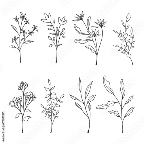 Collection of hand drawn floral doodles isolated on white background.