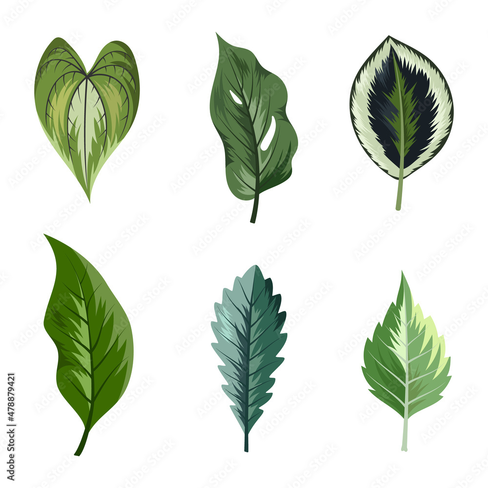 Collection of beautiful tropical leaves isolated on white background.