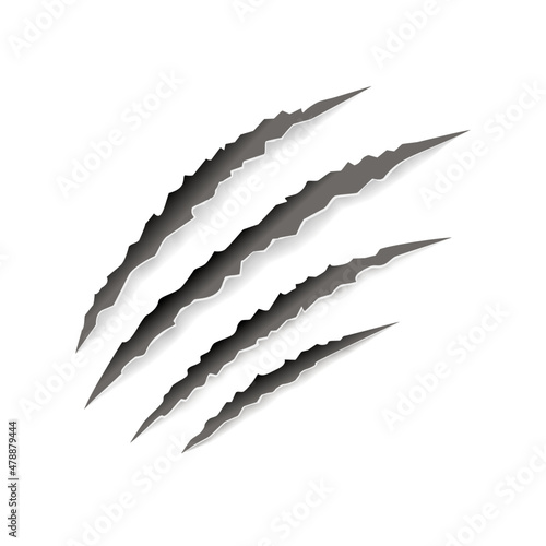 Animal claw paw marks, scratches, talons cuts cat, tiger, dog, lion, monster isolated on white background. Vector realistic illustration. Design for animal print, banner, poster