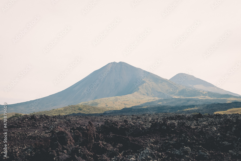 Finca el Amate Volcan de Pacaya