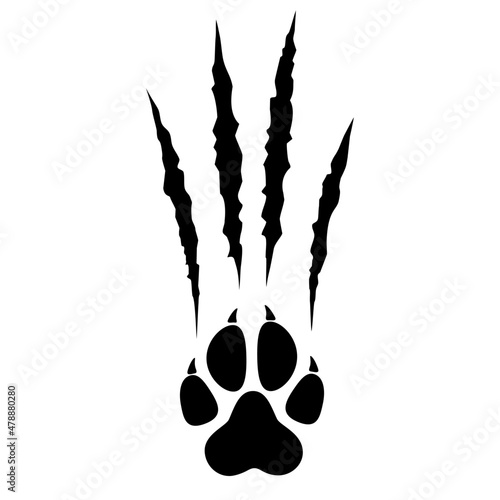 Animal paw print silhouette with claw marks, scratches, talons cuts cat, tiger, dog, lion, monster isolated on white background. Vector flat illustration. Design for animal print, banner, poster