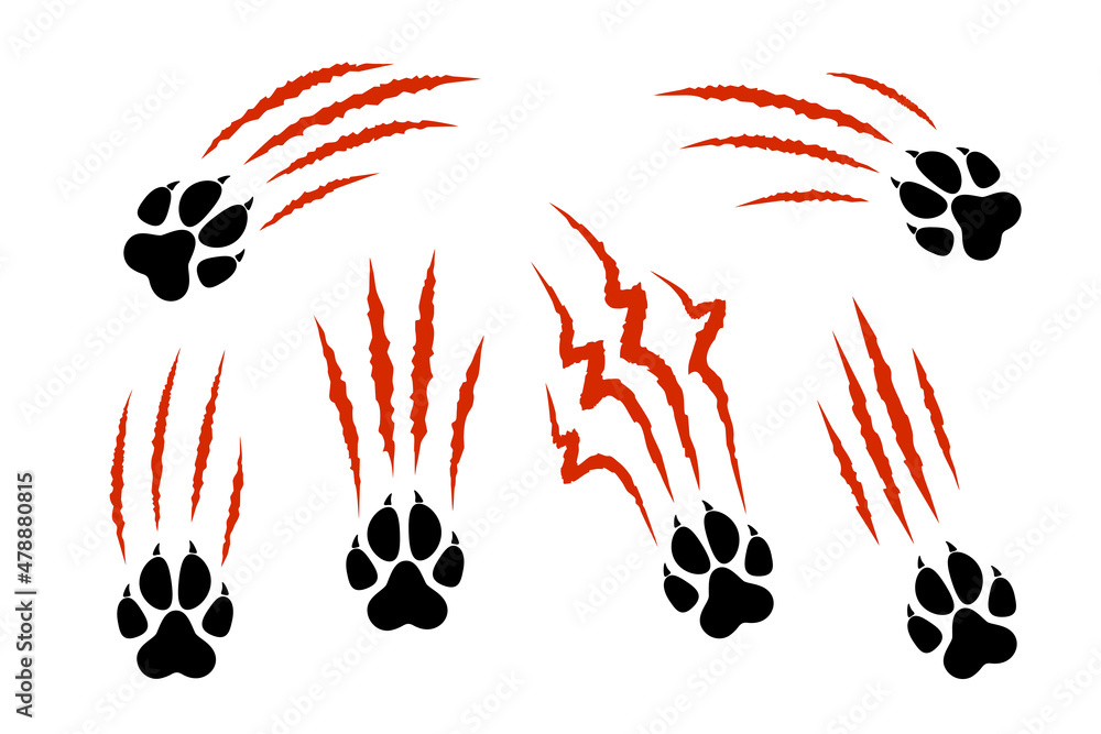 Set of animal paw print silhouette with red claw marks, scratches, talons cuts cat, tiger, dog, lion, monster isolated on white background. Vector flat illustration. Design for animal print, banner - obrazy, fototapety, plakaty 