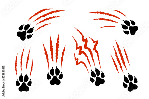 Set of animal paw print silhouette with red claw marks, scratches, talons cuts cat, tiger, dog, lion, monster isolated on white background. Vector flat illustration. Design for animal print, banner