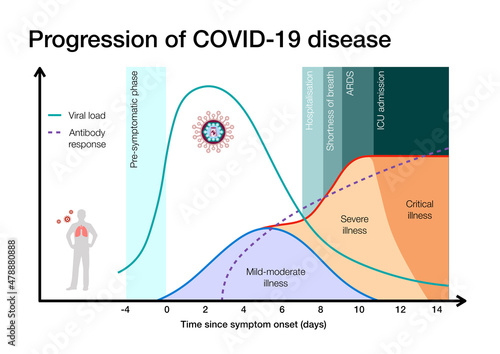 Infographic illustration of COVID-19 illness progression photo