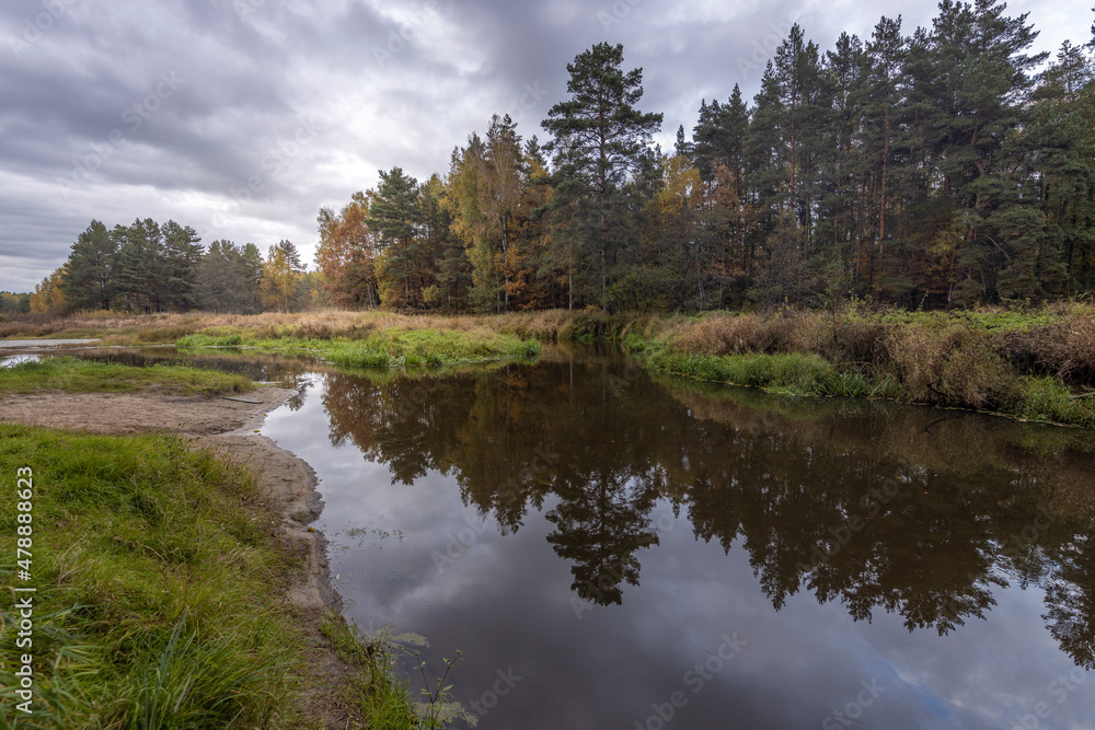 Obraz premium Autumn landscape with a small forest river. Cloudy weather in the forest Idyllic autumn landscape. Clean nature, ecology, seasons, environmental protection. Atmospheric and peaceful landscape