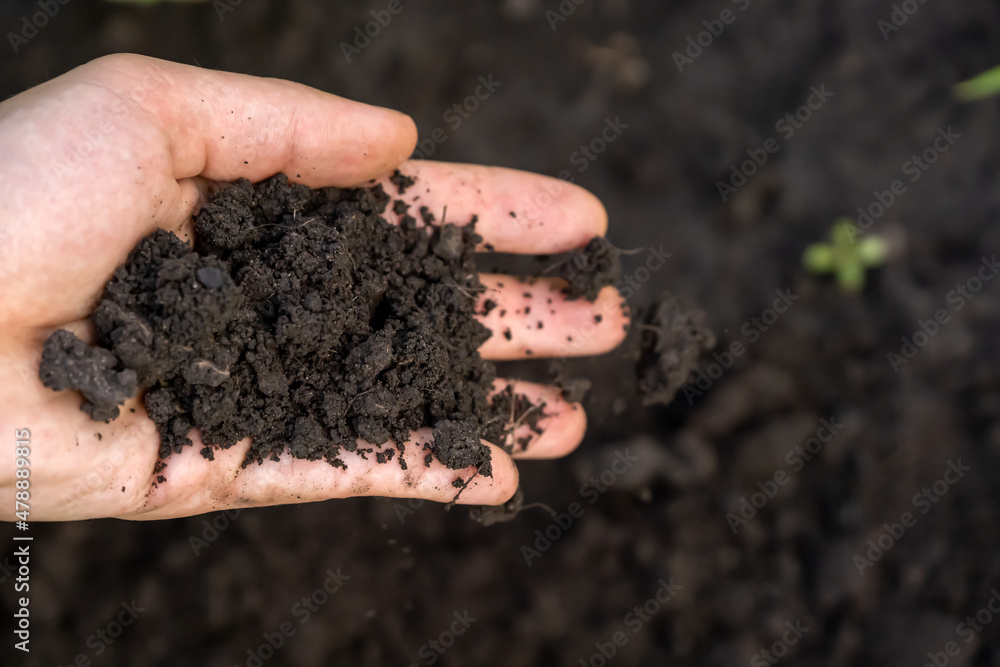 A closeup of a hand holding fertile ecological soil for planting A closeup of a hand holding fertile ecological soil for planting