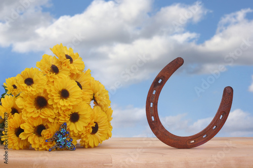 Yellow Flowers and Butterfly Jewelry With Blue Sky and Horseshoe