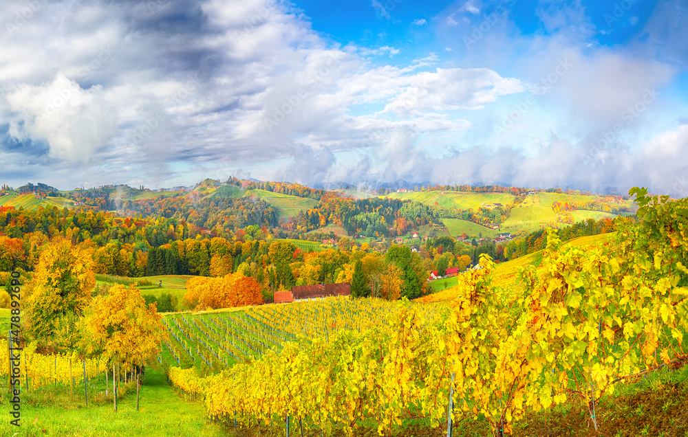 Spectacular vineyards landscape in South Styria near Gamlitz. Spectacular vineyards landscape in South Styria near Gamlitz.