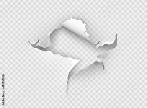 ragged Hole torn in ripped paper on transparent background