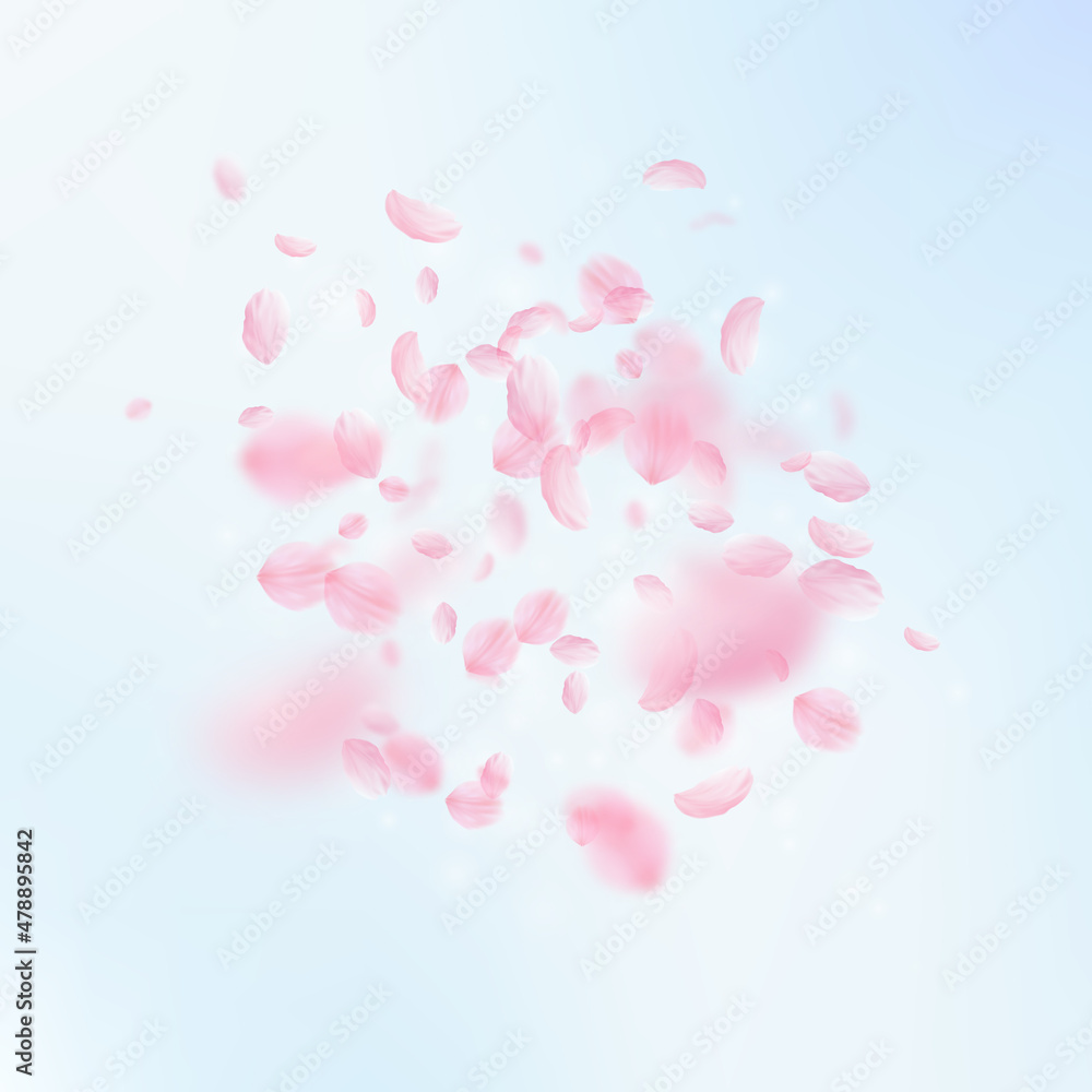 Sakura petals falling down. Romantic pink flowers explosion. Flying petals on blue sky square background. Love, romance concept. Exotic wedding invitation.