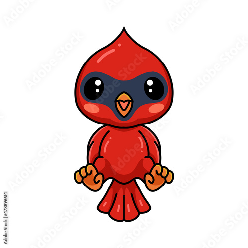 Cute baby cardinal bird cartoon posing