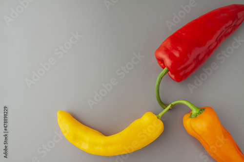 Three colourful oblong paprikas on the gray background. Bond together. Copy-space