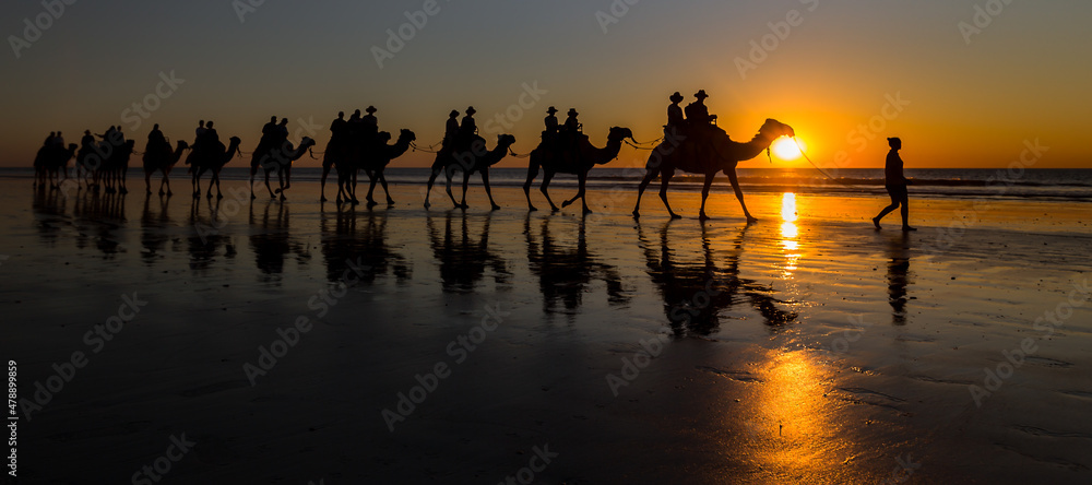 Camel Train tourist attraction at sunset on Cable Beach in Australia