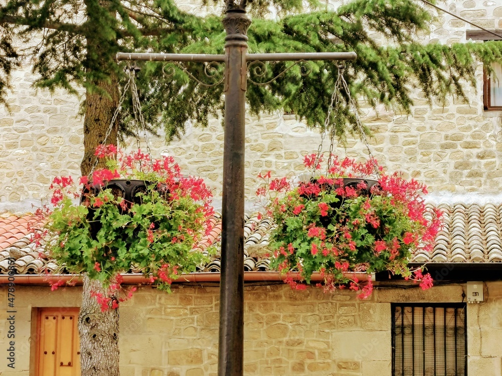 Fototapeta premium window with flowers in the village