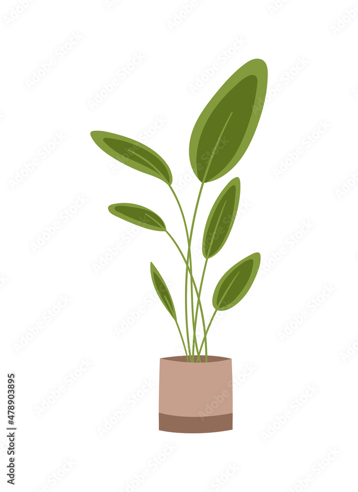 Living room decoration concept. Beautiful sticker with beige pot, green plant and round large leaves. Organic element of interior design. Cartoon flat vector illustration isolated on white background Living room decoration concept. Beautiful sticker with beige pot, green plant and round large leaves. Organic element of interior design. Cartoon flat vector illustration isolated on white background