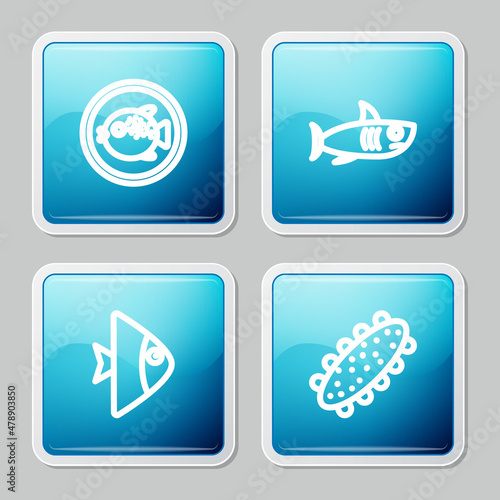 Set line Puffer fish on a plate, Shark, Fish and Sea cucumber icon. Vector