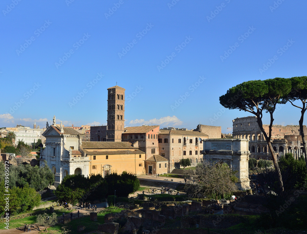 Blue sky, green grass, stone pines, Santa Francesca Romana church, Triumphal arch of Titus and Colosseum in Rome, Italy. View from the Palatine hill
