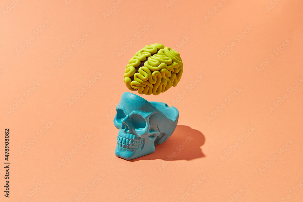 Human skull with brain Stock Photo | Adobe Stock