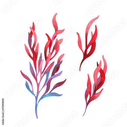Watercolor set with fresh tropical red leaves