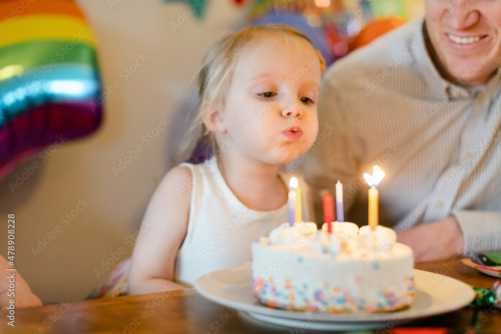A Young Girl Blows Out the Candles on her BDAY Cake A Young Girl Blows Out the Candles on her BDAY Cake