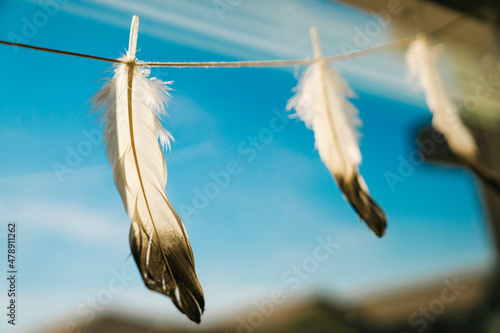 Feathers hanging on string in sunlight against blue sky