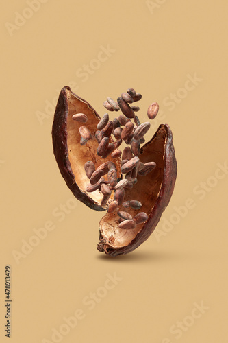 Dried beans with cocoa pod in studio photo