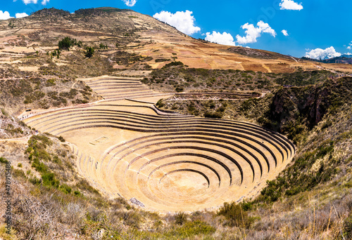 Fototapeta Agricultural terraces at Moray in the Sacred Valley of Peru