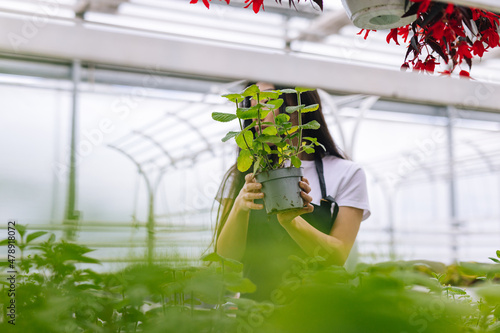 Woman checking plants which growing in farm photo