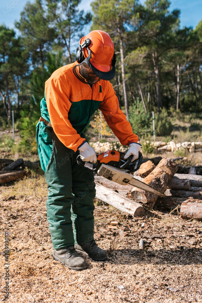 Woodcutter starting chainsaw for sawing tree Woodcutter starting chainsaw for sawing tree