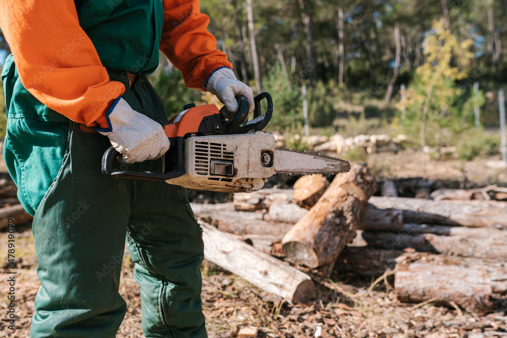 Crop woodcutter with saw in forest Crop woodcutter with saw in forest