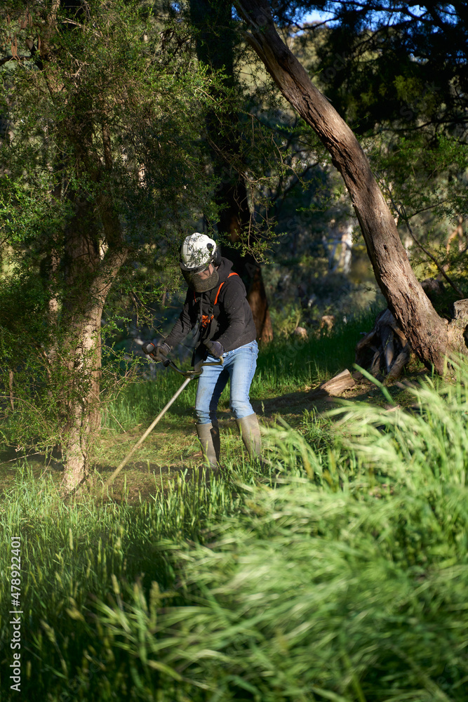 Woman using brush cutter on long grass Woman using brush cutter on long grass