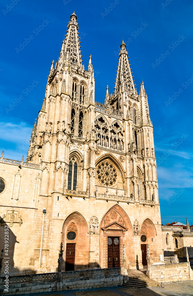 Fototapeta premium The Cathedral of Saint Mary of Burgos. UNESCO world heritage in Spain