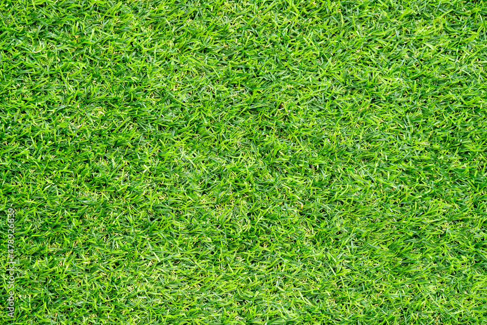 Fototapeta premium Green grass texture for background. Green lawn pattern and texture background.