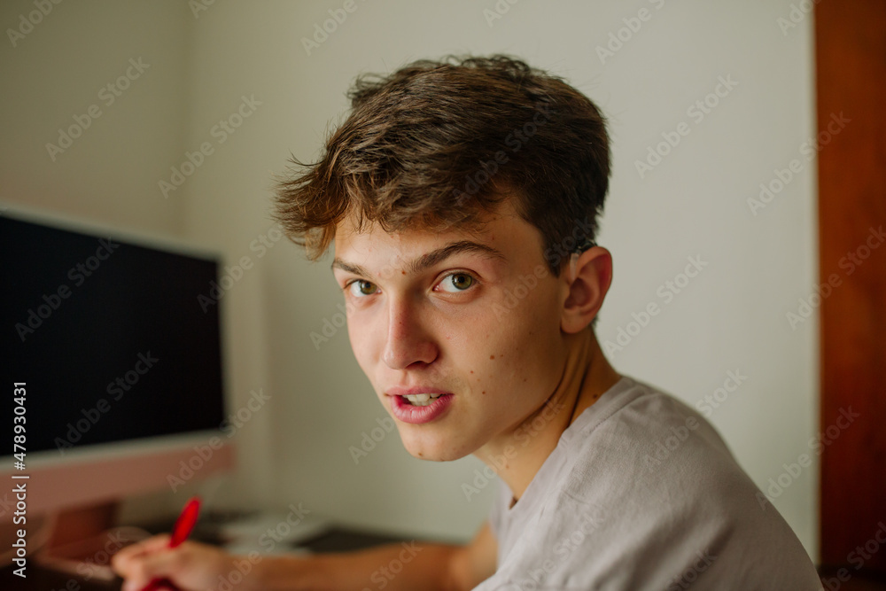 Handsome teenage boy looking at camera Handsome teenage boy looking at camera