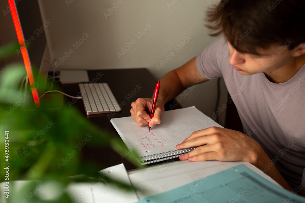 © Erin Brant/Stocksy - Teen boy writing in notebook