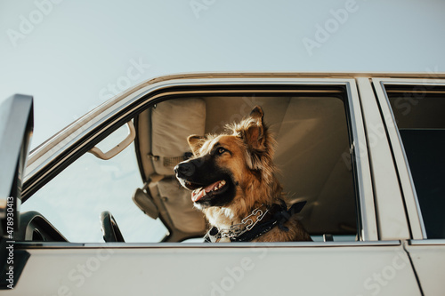 driver seat photo