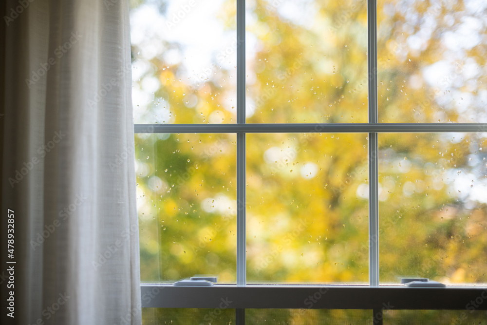 Window with beautiful foliage blurred outside Window with beautiful foliage blurred outside