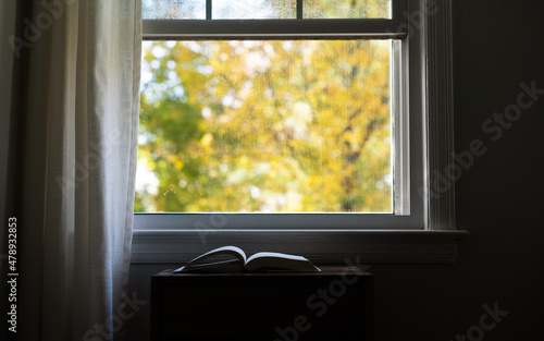 Open book by open window