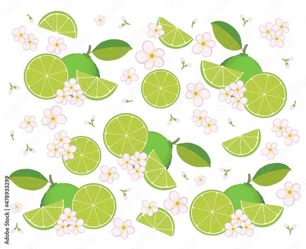 seamless pattern with lime seamless pattern with lime