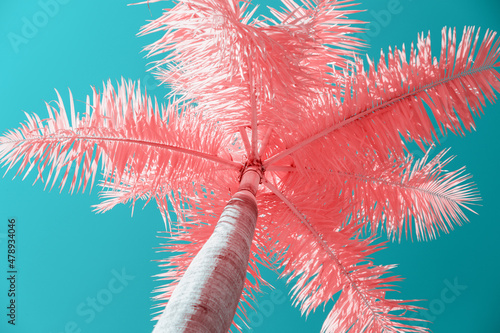 Infrared photography of Palm tree photo