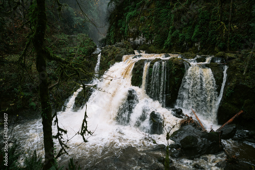 Gushing Forest Waterfall