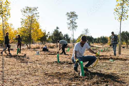 Volunteers group in cooperative teamwork to plant trees